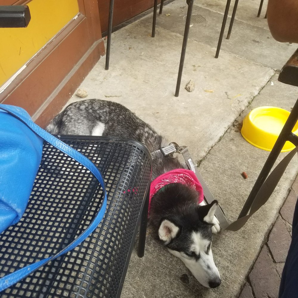Small Batch - Even doggies can chill out with a drink lol - Breweries Near Me - Winston-Salem, North Carolina