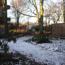 Botanische Tuin Afrikaanderwijk