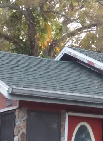 Slide of Rent A Hand