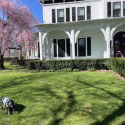 1840 Inn On the Main Bed and Breakfast - Tumblena