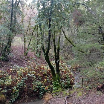 Sacred Space Retreats - Rehabilitation Center Near Me - Cloverdale, California Sacred Space Retreats - Rehabilitation Center Near Me - Cloverdale, California