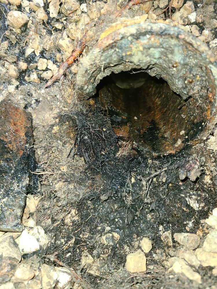 Slide of Tritan Plumbing