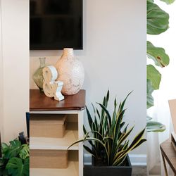 Amanda Ellis Photography - Welcome to the studio!