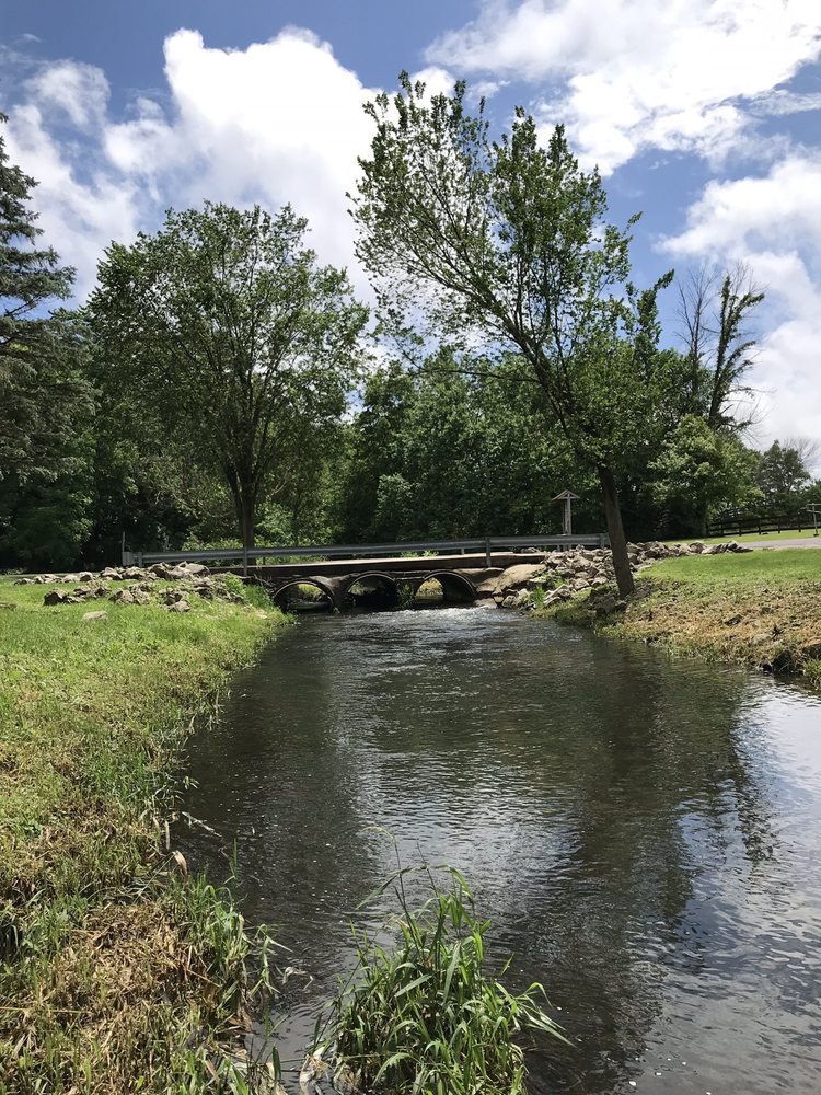 YOGI BEAR’S JELLYSTONE PARK 35 Photos & 54 Reviews 8574 Millbrook