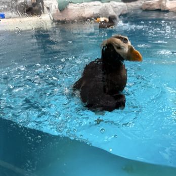 Como Park Zoo and Conservatory - Zoos Near Me - Saint Paul, Minnesota