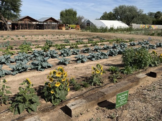 The Farm at South Mountain by null