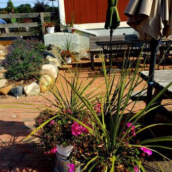 8 Hands Farm - Outdoor tables - 10/14/2024 - Farms Near Me - Cutchogue, New York 8 Hands Farm - Outdoor tables - 10/14/2024 - Farms Near Me - Cutchogue, New York