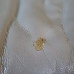 Leather Pro Hawaii - Before treatment nasty scrape