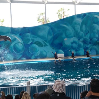 Six Flags Discovery Kingdom - Really good - Amusement Parks Near Me - Vallejo, California Six Flags Discovery Kingdom - Really good - Amusement Parks Near Me - Vallejo, California