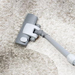 Curtis Carpet Cleaning