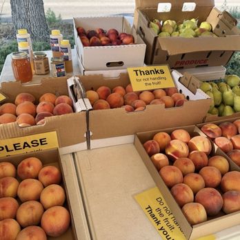 Debbie’s Palisade Peaches - Farmers Market Near Me - Loveland, Colorado