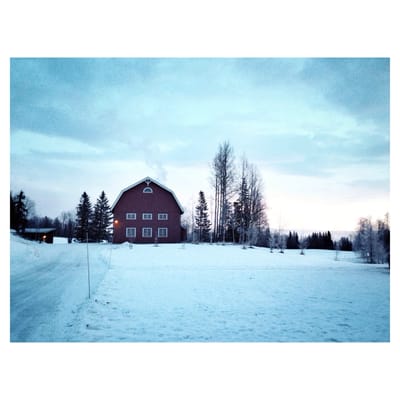 Fäviken by null