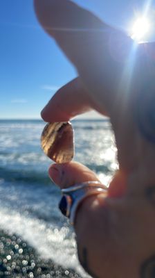 South Ponto Beach by null