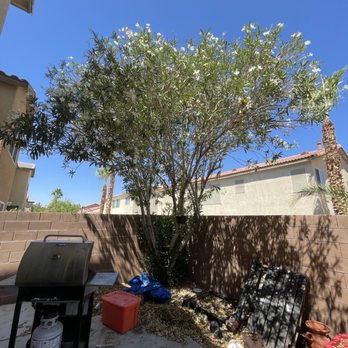 Economy Landscaping - a backyard with a grill and a tree - Landscaping Near Me - Las Vegas, Nevada Economy Landscaping - a backyard with a grill and a tree - Landscaping Near Me - Las Vegas, Nevada