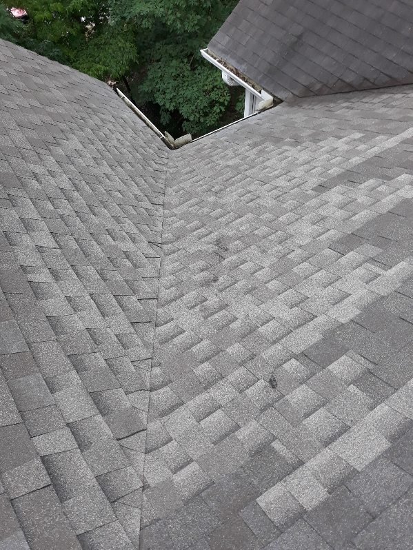 Slide of Wow Services