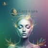 The Zenith Spa gift card