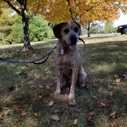 Boone just being a good boy