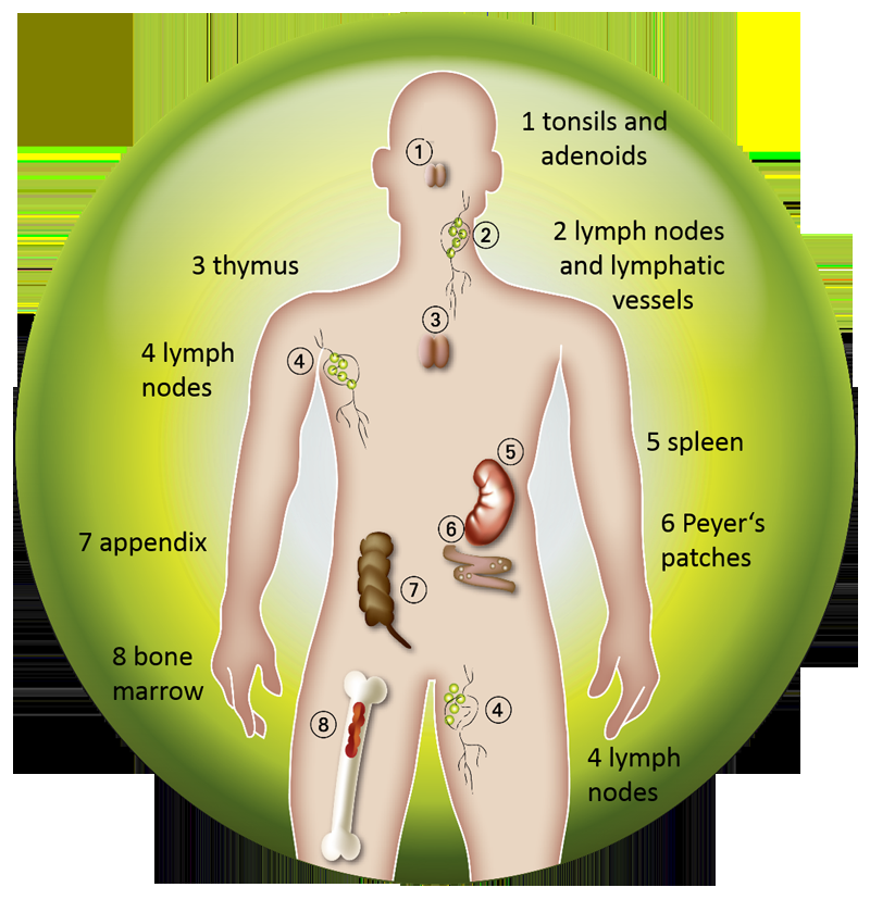 Art of Wellness - grief counselor in Philadelphia, PA