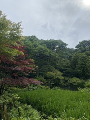Nezu Museum by null