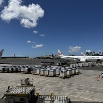 Japan Airlines - Airlines Near Me - Honolulu, Hawaii Japan Airlines - Airlines Near Me - Honolulu, Hawaii