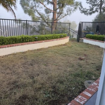 Premier Environmental - Before - Lawn Services Near Me Premier Environmental - Before - Lawn Services Near Me