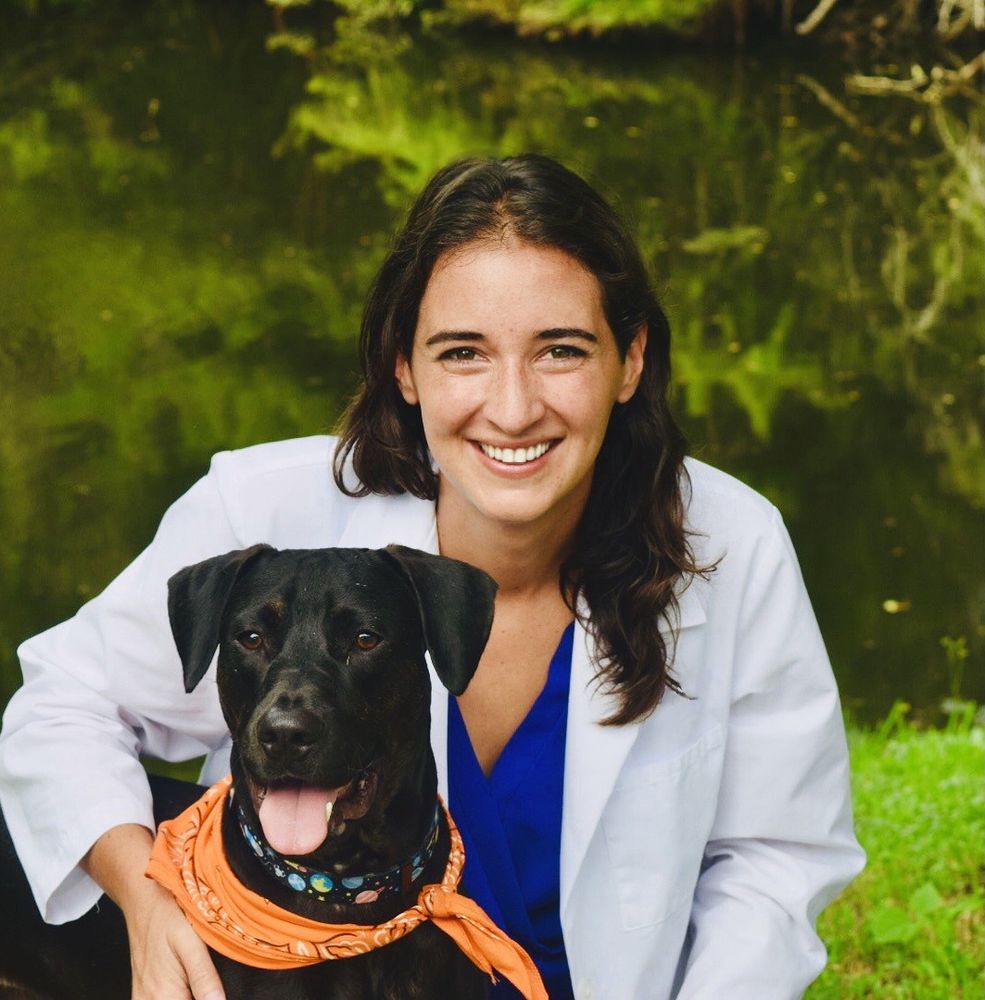 OVER THE RAINBOW VETERINARY HOSPICE & HOME EUTHANASIA Updated October