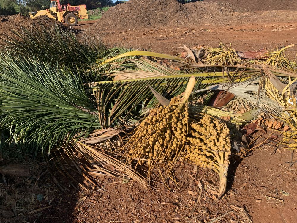 AHUPUAA GREEN WASTE RECYCLING Updated September 2024 91290 Hanua