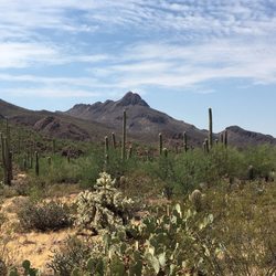 Desert House of Prayer