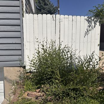 New Day Landscaping - Before - Landscaping Near Me New Day Landscaping - Before - Landscaping Near Me