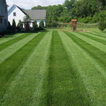 Total Renovation Landscaping - a freshly mowed lawn - Masonry/Concrete Near Me Total Renovation Landscaping - a freshly mowed lawn - Masonry/Concrete Near Me
