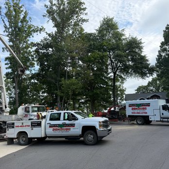 Dominion Tree Care Specialists - Tree Services Near Me - Moneta, Virginia Dominion Tree Care Specialists - Tree Services Near Me - Moneta, Virginia
