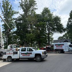 Dominion Tree Care Specialists
