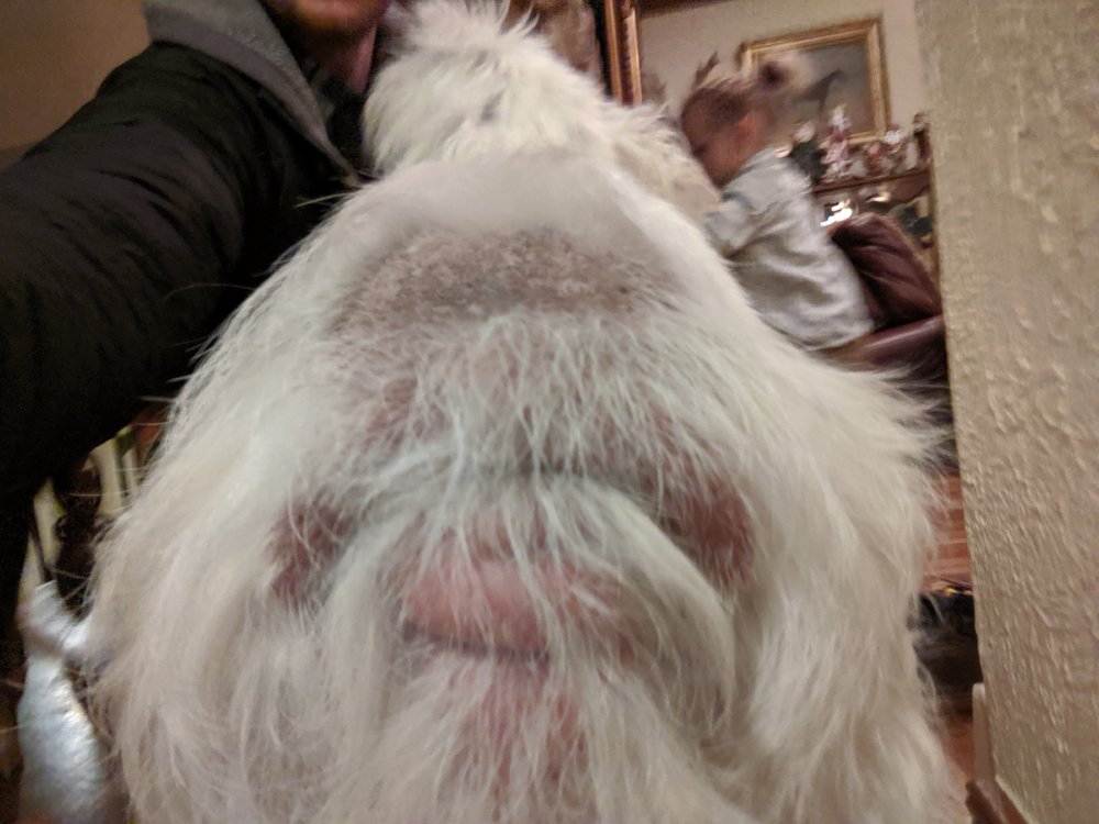 New Beginnings Counseling Services - grief counselor in Oklahoma City, OK