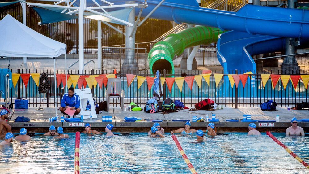 GOLDEN ROAD AQUATICS Updated May 2024 26 Photos & 17 Reviews 3201