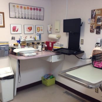 Manzano Animal Clinic - Exam room. My cat is hanging out in this carrier - Veterinarians Near Me - Albuquerque, New Mexico