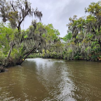Airboat Adventures - Beautiful - Boat Tours Near Me - Lafitte, Louisiana