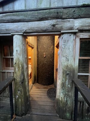 TreeHouse Point by null