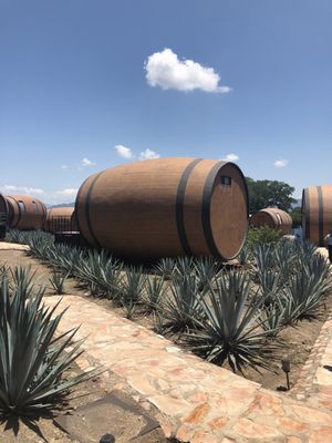 Matices Hotel de Barricas by null