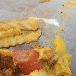 Chicago Style Hot Dog W/fries