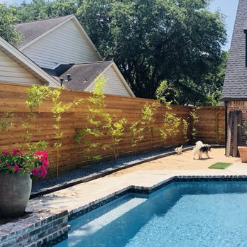 Houston Bamboo Nursery - Nurseries & Gardening Near Me - Houston, Texas