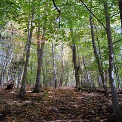 Sawyer Mountain Highlands