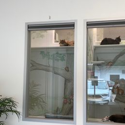 Looking inside the villas from the entrance.