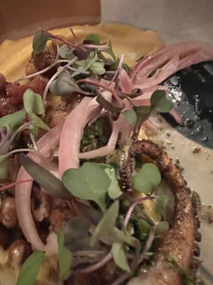 O by Marcos Spaziani by null