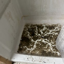 Steve Kelso's Plumbing - My shower covered in poo
