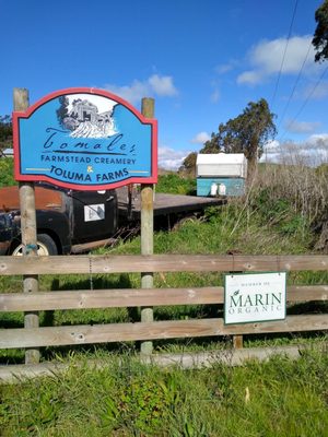 Toluma Farms & Tomales Farmstead Creamery by null