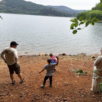 Riffe Lake Campground - Small rocky/clay beach accessible by small dirt trail. - Campgrounds Near Me - Mossyrock, Washington Riffe Lake Campground - Small rocky/clay beach accessible by small dirt trail. - Campgrounds Near Me - Mossyrock, Washington