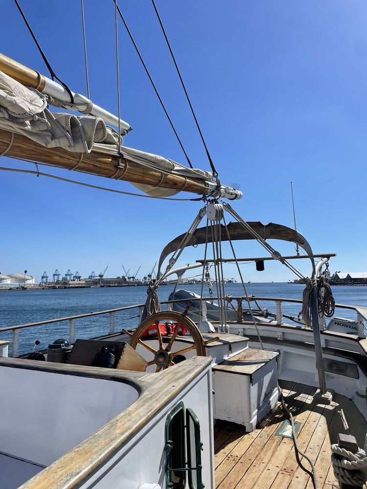 Los Angeles Maritime Institute Logo