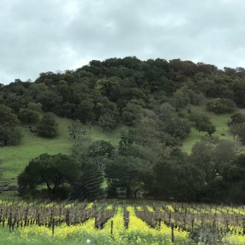 Theorem Vineyards - Wineries Near Me - Calistoga, California