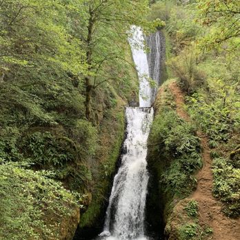 Bridal Veil Falls - Bridal veil fall - Hiking Near Me - Corbett, Oregon Bridal Veil Falls - Bridal veil fall - Hiking Near Me - Corbett, Oregon