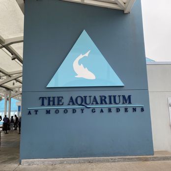 Aquarium Pyramid - Aquariums Near Me - Galveston, Texas Aquarium Pyramid - Aquariums Near Me - Galveston, Texas